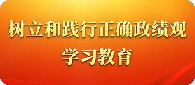 樹立和踐行正確政績觀學習教育